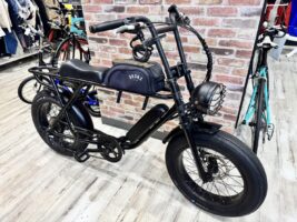 BUGGY20