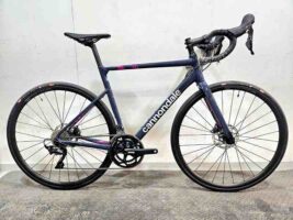 CAAD13 disc